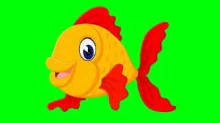 Fish in green screen/Green screen video