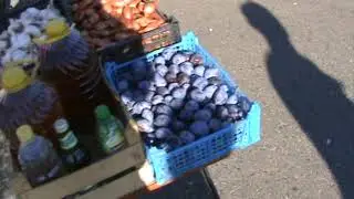 Ярмарка голубей г.Краснодар 05.09.2021г. 3часть