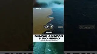 SUNGAI AMAZON DAN RIO NEGRO ‼️Omjeys ID 