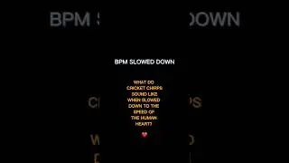 what CRICKETS REALLY SOUND LIKE when BPM slowed down to speed of human heart.