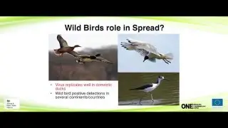 Avian Influenza 2: Epidemiology, Diagnosis, Surveillance and Control