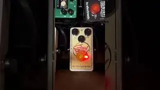 Electro harmonix Soul Food Overdrive Pedal Sound Demo
