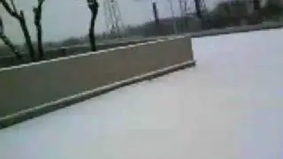La joie