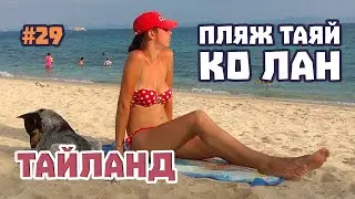 Пляж Таяй на острове Ко Лан. Один из самых красивых пляжей на острове. Проверим, так ли это?