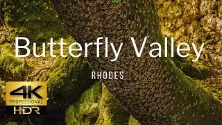 Butterfly Valley Rhodes 4K HDR (HLG) 🦋 | Greece 🇬🇷
