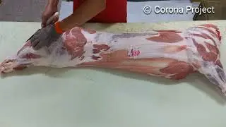 Начало. Разделка свиной полутуши. Школа Мясников - Corona Project