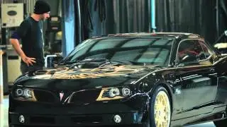 WEB LOOP Trans Am Worldwide