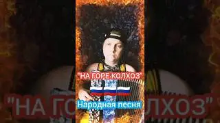 На горе колхоз, под горой совхоз - на баяне #баян #баянист #застольныепесни #народныепесни #колхоз