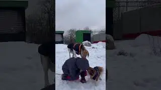 Два брата акробата получается🙈😅