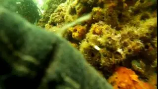 2017 0814 141104 011