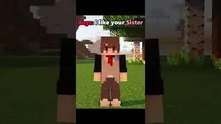 Minecraft BOYS vs GIRLS 