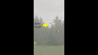 FOUND FOOTAGE OF SIREN HEAD