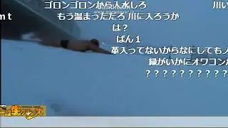 雪上をころがる豚　【野田草履P】