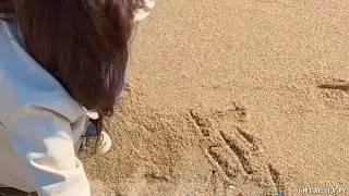 Hyewon's vlog but make it sadder