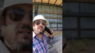 Арбуз Конго 🍉🚛