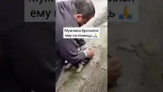 Мужчина спас щенка ❤️🙏 #shorts
