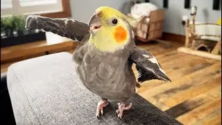 Hey you….ya, you!