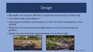 Bioswales and Rain Gardens with OSU Master Gardeners