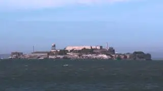 море с птицой