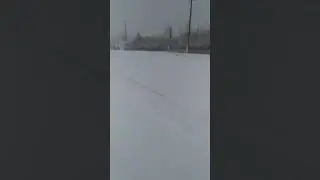 26 ноября 2020 г.
