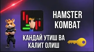 HAMSTER KOMBAT | КАЛИТ  ОЛАМИЗ 30 СЕКУНД ИЧИДА 🔑