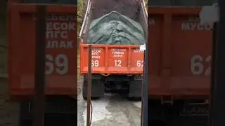 От такой инфы аж ВОЛОСЫ ДЫБОМ