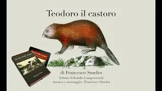 Teodoro il castoro