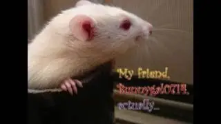 Good Luck Squiggy!