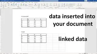 How to embed an Excel sheet in a Word document