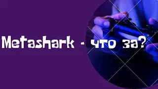 Metashark - новый хайп проект, стоит ли?
