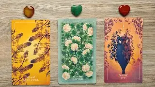 A BIG SUCCESS IS COMING YOUR WAY! 🤩🚀🌟 Pick A Card 🔮✨ Timeless Tarot Reading