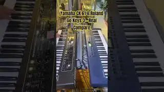 Yamaha CK 61 & Roland Go Keys 3 || Piano & Electric Piano Sound Test 🔊🎹
