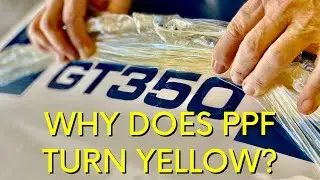 Dad Destroys Our Shelby American GT350 Painted Stripes