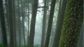 Would Lewis and Clark Turn Back? Our Hiking Adventure Along the Oregon Coast