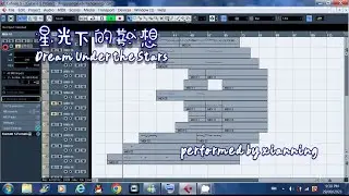 星光下的夢想「看看星光看月亮 看看我的心 月亮代表我的心」Dream Under The Stars ProjectSAM Concert Harp Cover by Xianning