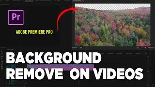 How To Remove Background From A Video - Adobe Premiere Pro Tutorial