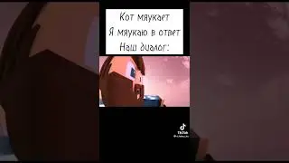 Диалог с котом 