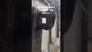 когда хочешь в туалет а там зането