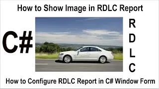 How to Show Image in RDLC Report in C# Window Form