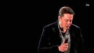 ‘Do you want Tesla to accept Doge?’ Elon Musk asks Twitter users