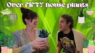 OVER 50 HOUSE PLANTS