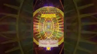 1 февраля 2024 г.