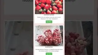 ARI sells Fruits - Made with Bootstrap 🍈🍒