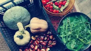 Verdure Più Facili da Coltivare in Orto x Autoproduzione Alimentare (Tutto l’Anno)