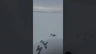 Терс отчёт лёд 10 см