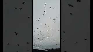 A SIGN OF THE APOCALYPSE? 😱