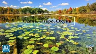 Осень Озеро Окунь