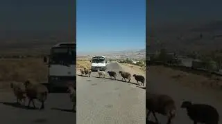 Traffic jam in Kurdistan, 10.10.2020 ;)