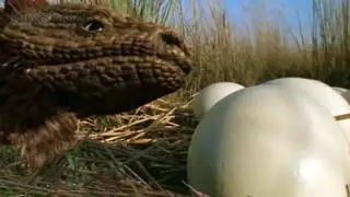 Какими будут обитатели Земли в будущем