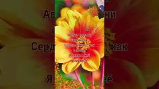 Последний день лета  #прощайлето  #1сентября #сентябрь  #31августа